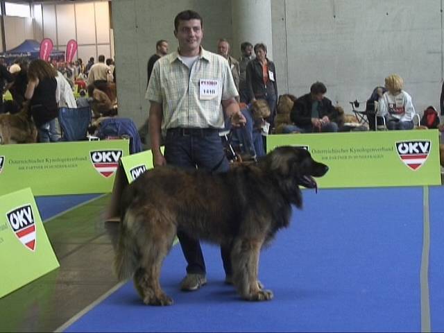 Salzburg Clubschau Mai 06 049 